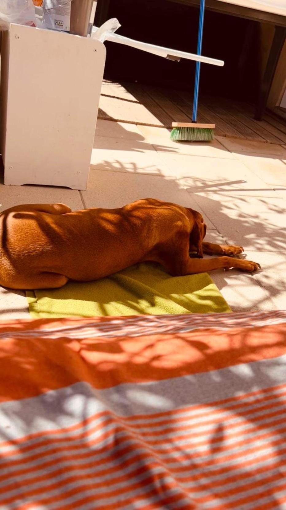 Plage / Beach / Marines De Gassin / Saint-Tropez Esterno foto